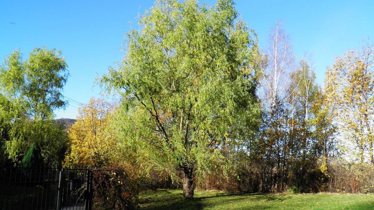 Podelniska Porabka Bagian luar foto